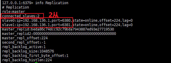 image-20220407215205669