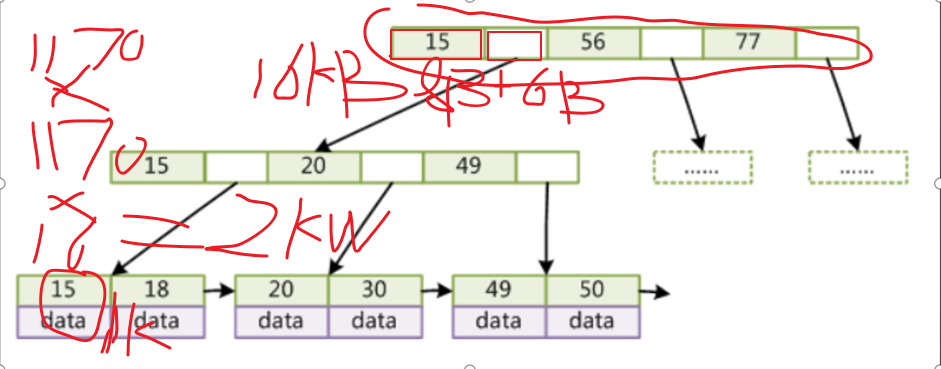 image-20211206233732916