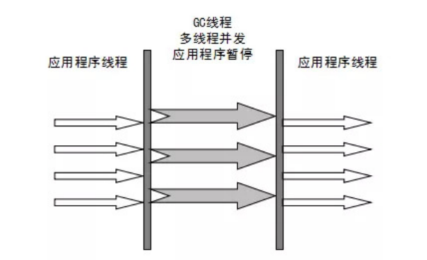 image-20220308232555436
