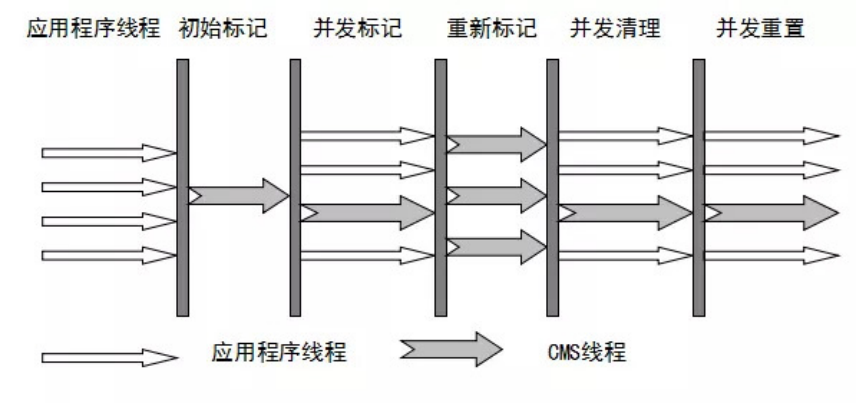 image-20220310081843874