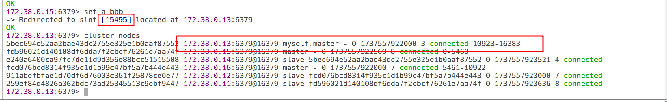 image-20250122225932814